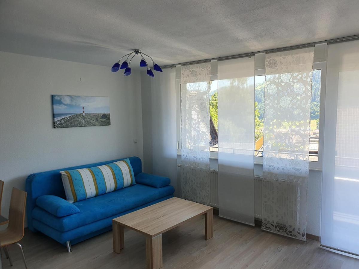 Schoene Aussicht Seelbach  Dış mekan fotoğraf