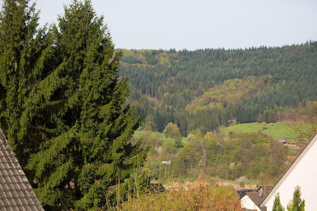 Schoene Aussicht Seelbach  Oda fotoğraf